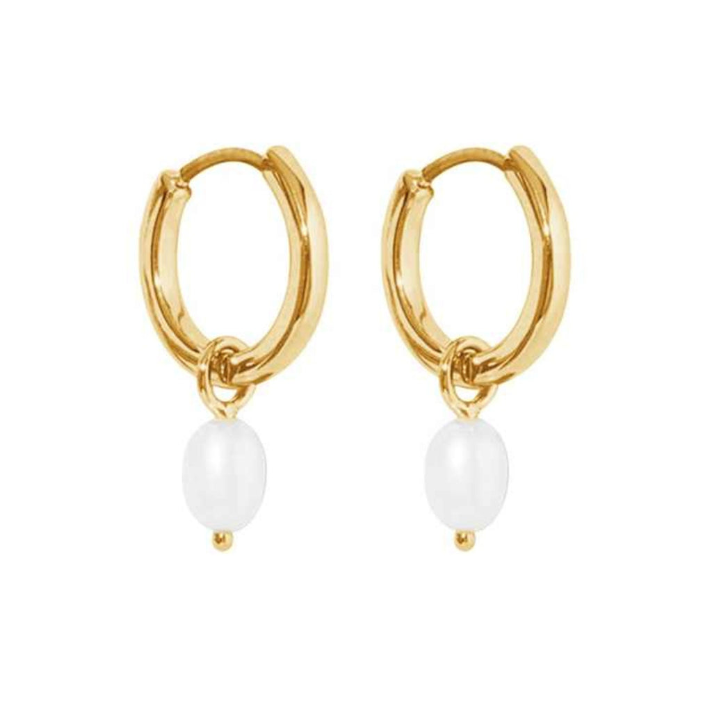 Dainty drop earrings with natural freshwater pearl charms, hypoallergenic