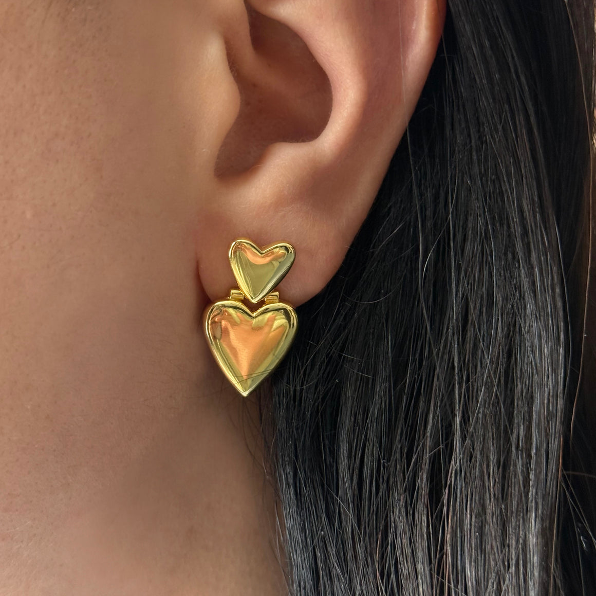 Women's Earring - NZERHRTCR main image 0